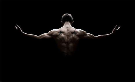 Testosterone’s Role in Muscle Building