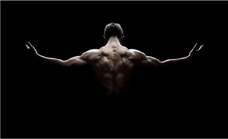 testosterone silhouette image of the back of a muscular man